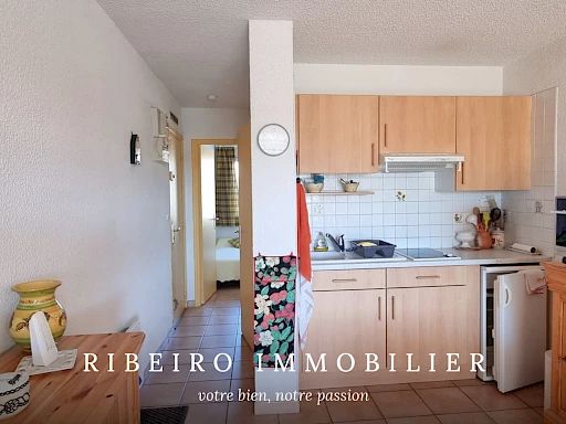 Appartement T2 à vendre Grau d'Agde, 34m2, plein sud, proche plage