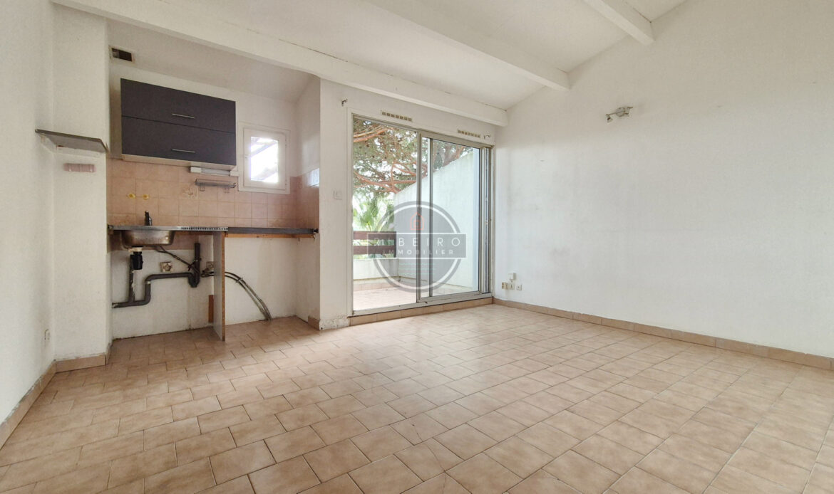 d3431275.jpg